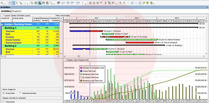 Oracle Primavera P6 Cost S Curves | Akim Engineering