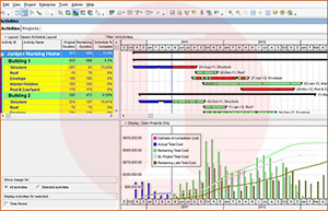 Primavera Project Management | Akim Engineering