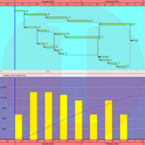 Primavera P6 Activity Network | Akim Engineering