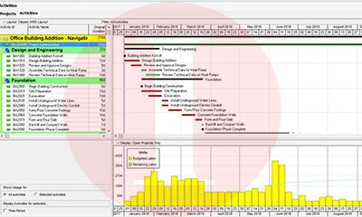 Primavera P6 Activity Usage Histogram | Akim Engineering