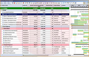 Primavera Program Management | Akim Engineering